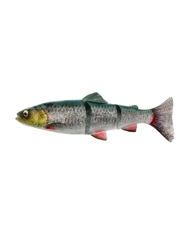 Leurre souple armé Savage Gear 4D LINE THRU TROUT MS 200