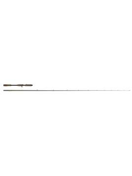 CANNE CASTING SAVAGE GEAR...