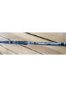 CANNE CASTING BFT LIZZARD X...