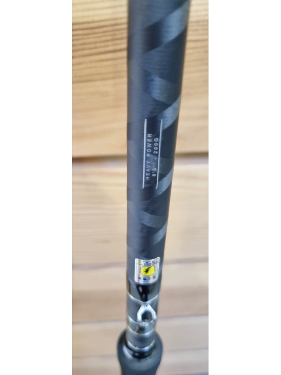 CANNE CASTING BFT LIZZARD X...