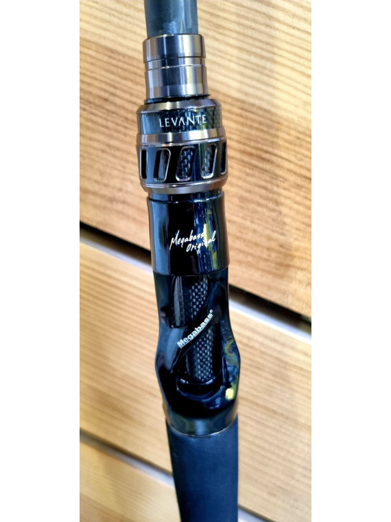 CANNE CASTING MEGABASS...