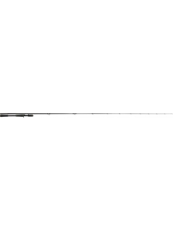 CANNE CASTING MEGABASS...