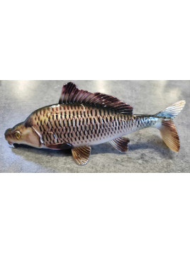 Leurre Souple Fox Rage Replicant Carpe 18 Cm - Fish & Ship