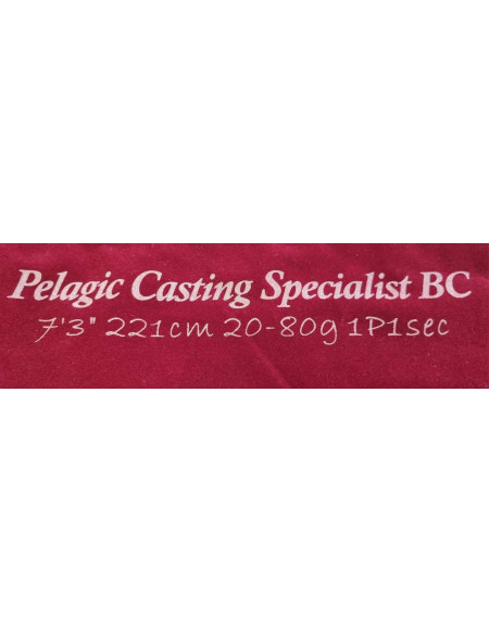 CANNE CASTING SAVAGE GEAR SG6 REVENGE PELAGIC 2m21 20/80g