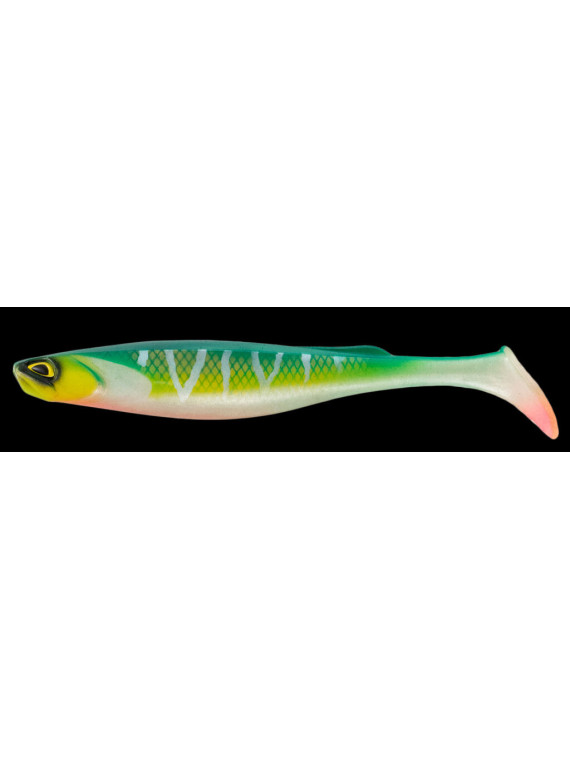 LEURRE SOUPLE FISHUP RAM SHAD 27cm