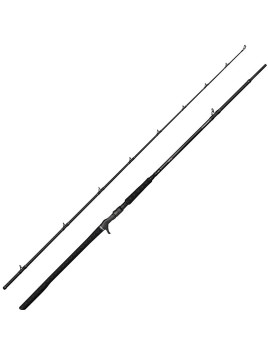 CANNE CASTING SAVAGE GEAR...