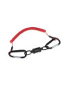 CLIP EPUISETTE  FOX RAGE...