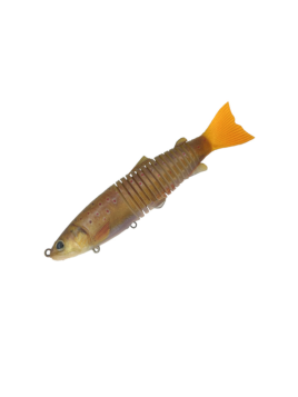 LEURRE SOUPLE BIWAA S'TROUT...