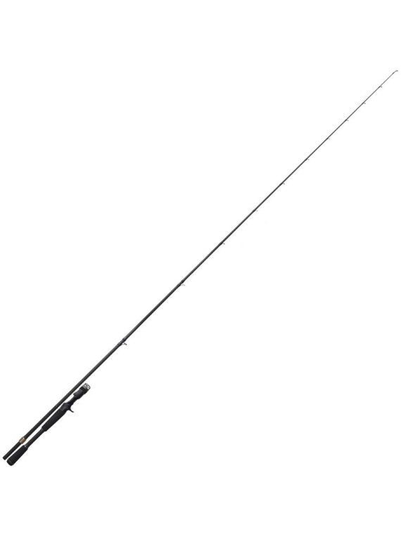 CANNE CASTING MEGABASS...